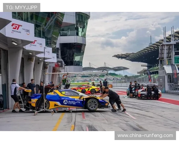 北京排球队在挑战赛中的团队协作表现分析与点评