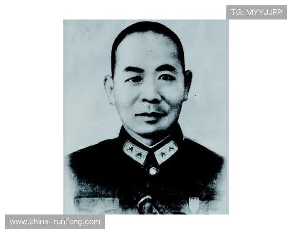 史鸿飞的传奇人生与不屈精神在时代洪流中的启示与反思