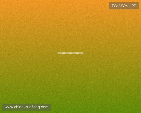 南京羽毛球队奋斗历程的真实记录与背后故事揭秘