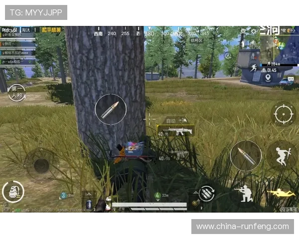 和平精英V5版本深度解析与反击策略全面揭秘