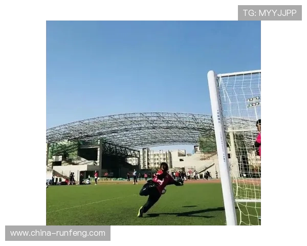 杨娜专访：探寻足球领域成功的秘诀与背后故事