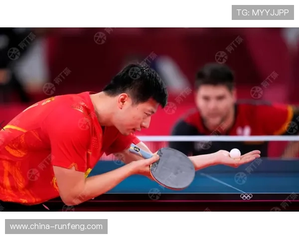 杭州乒乓球队精英赛之路：奋斗与荣耀的背后故事